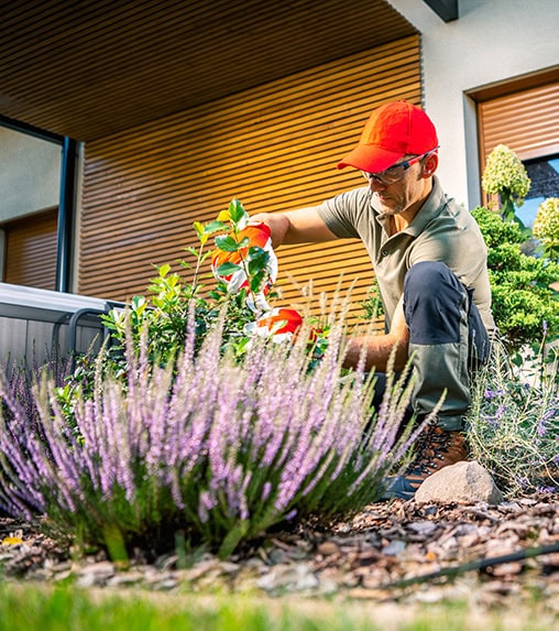 amenagement paysager homme plante plate bande