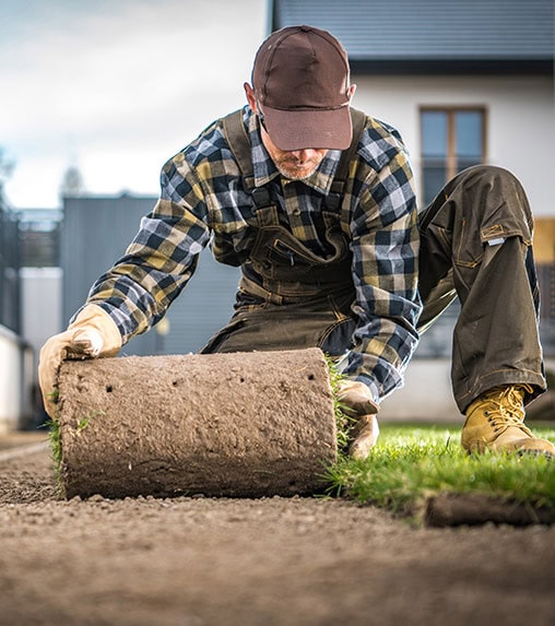pose de tourbe Pose de tourbe
